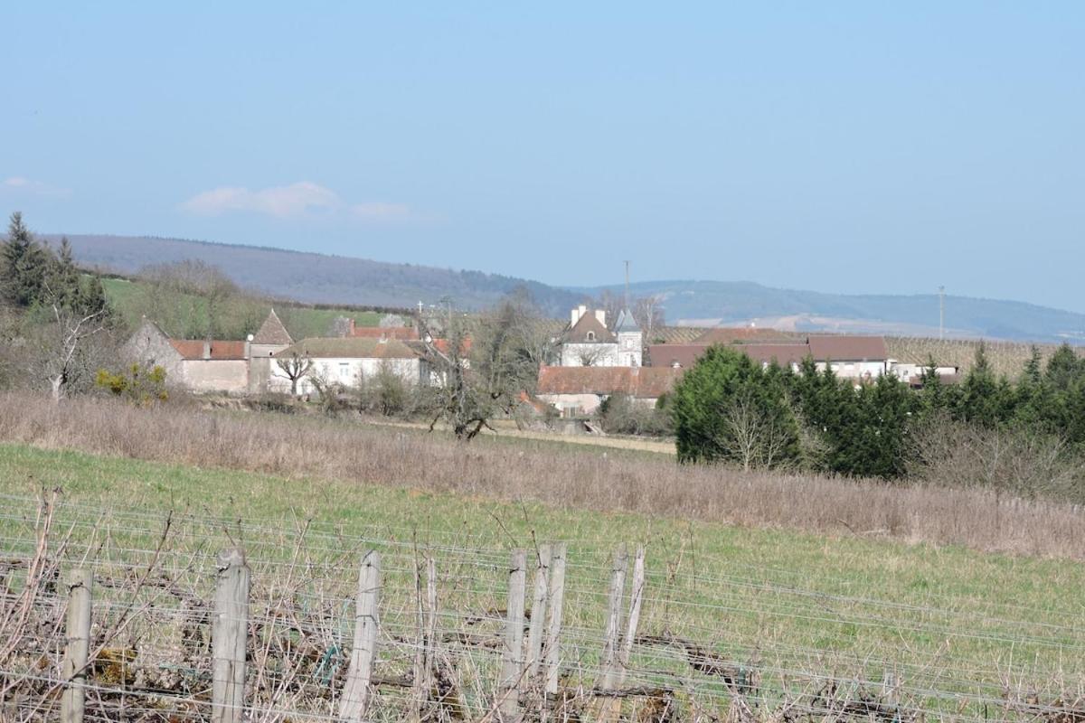 Du Vigneron